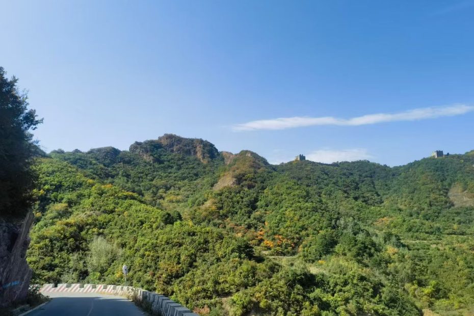 祁淑英推荐的好水