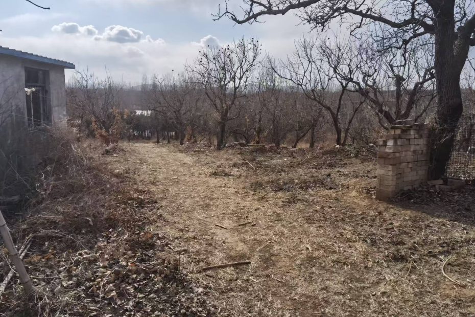 祁淑英农村康养，农村小院