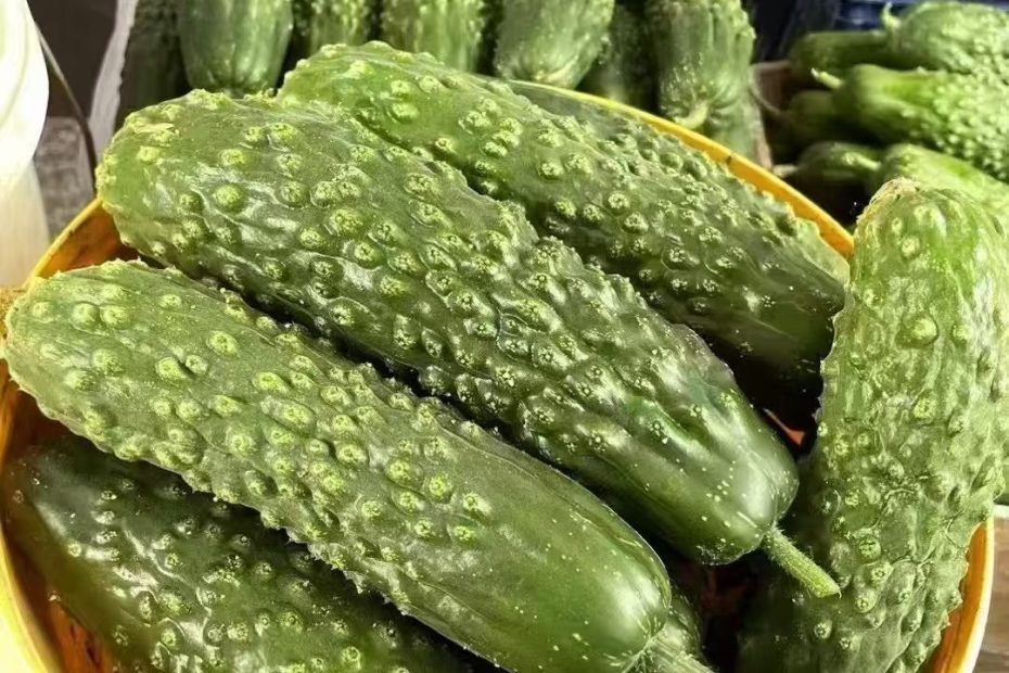 祁淑英爱吃的老蚧黄瓜唐山山区特产，特别倾向软嫩还很甜