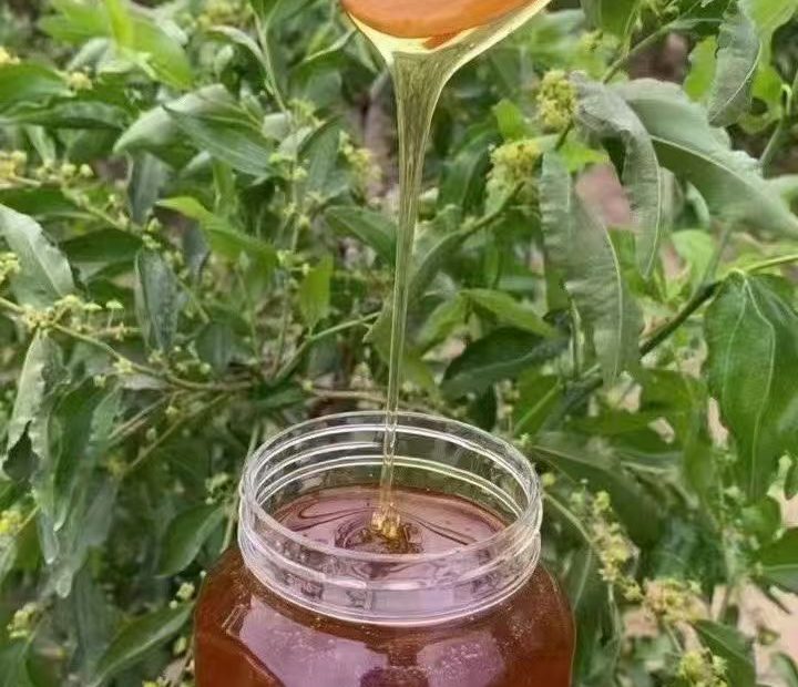 2025年新疆哈密枣花蜜