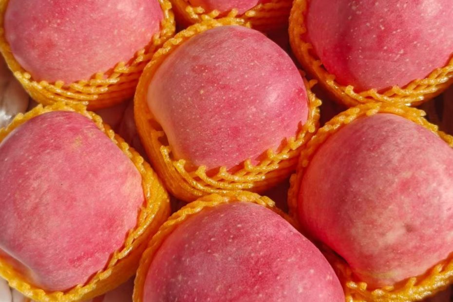 山地苹果富士苹果🍎