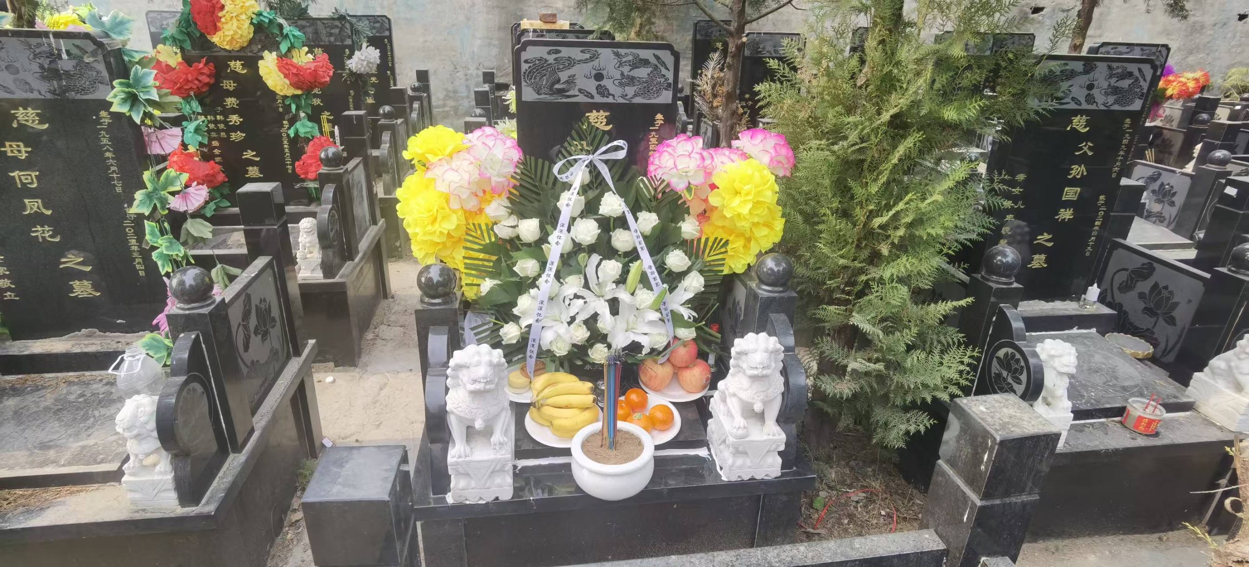 2026年3月17日农历2026年一月29日祁淑英,记住祁淑英,祁淑英官网,祁淑英原生态种养殖,祁淑英康养小院农村小院