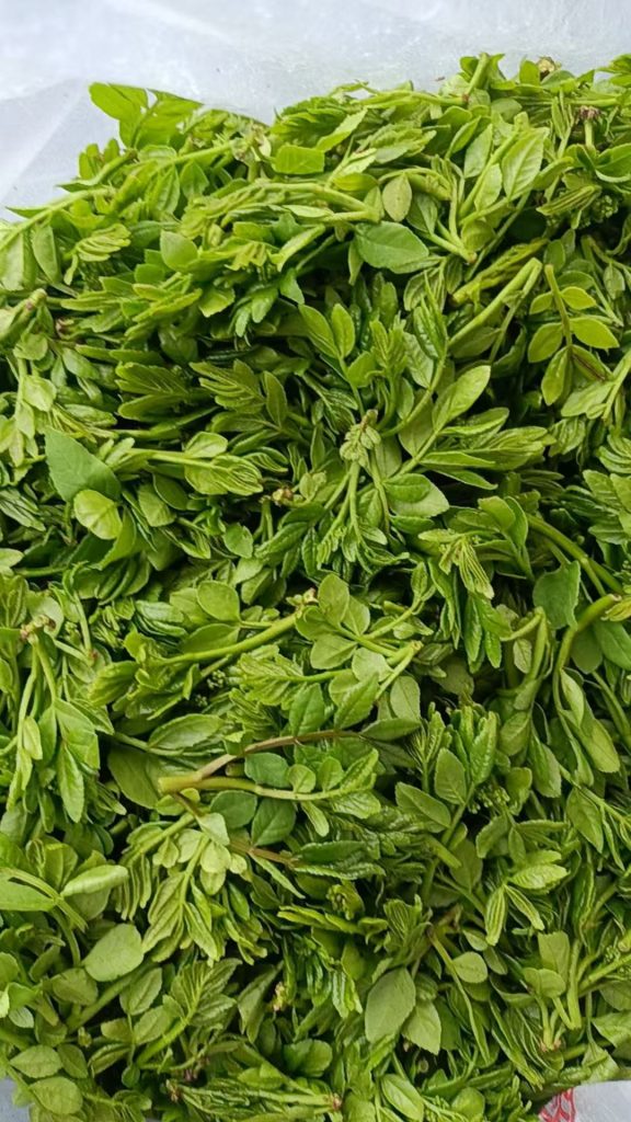 祁淑英康养 原生态种养殖